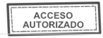 Acceso autorizado